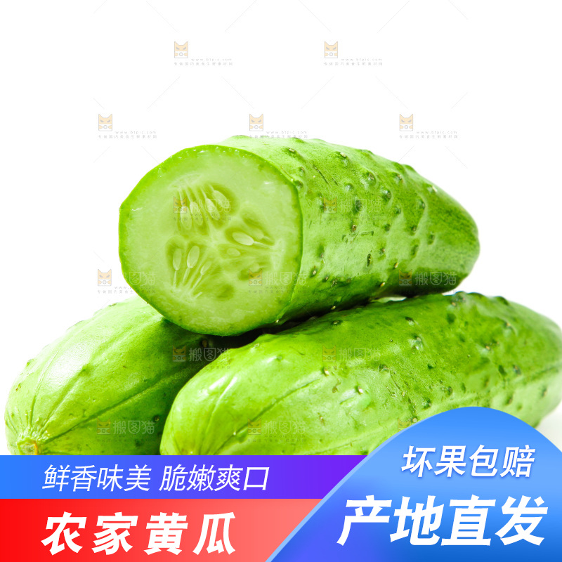 白底上放着旱黄瓜