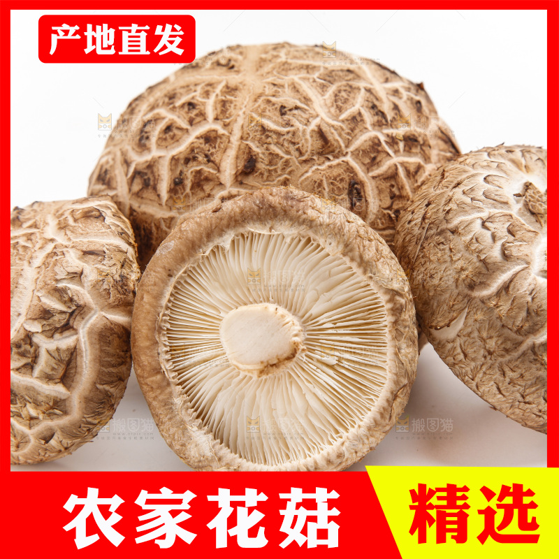 白底上放着花菇