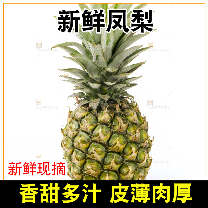 白底上摆放着海南凤梨