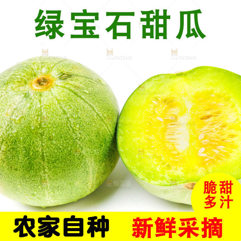 浅底上的山东绿宝石甜瓜
