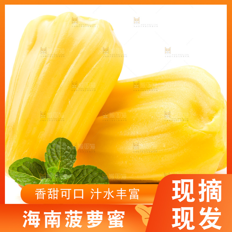 浅底上的黄肉菠萝蜜