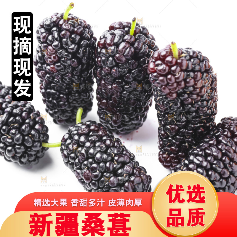白底上摆放着桑葚