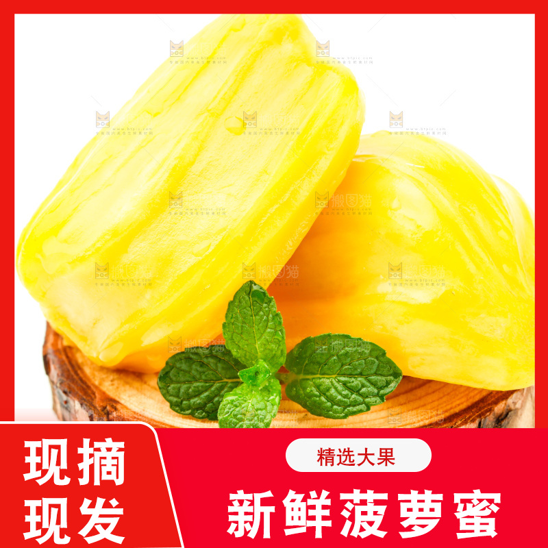 白底上的海南菠萝蜜