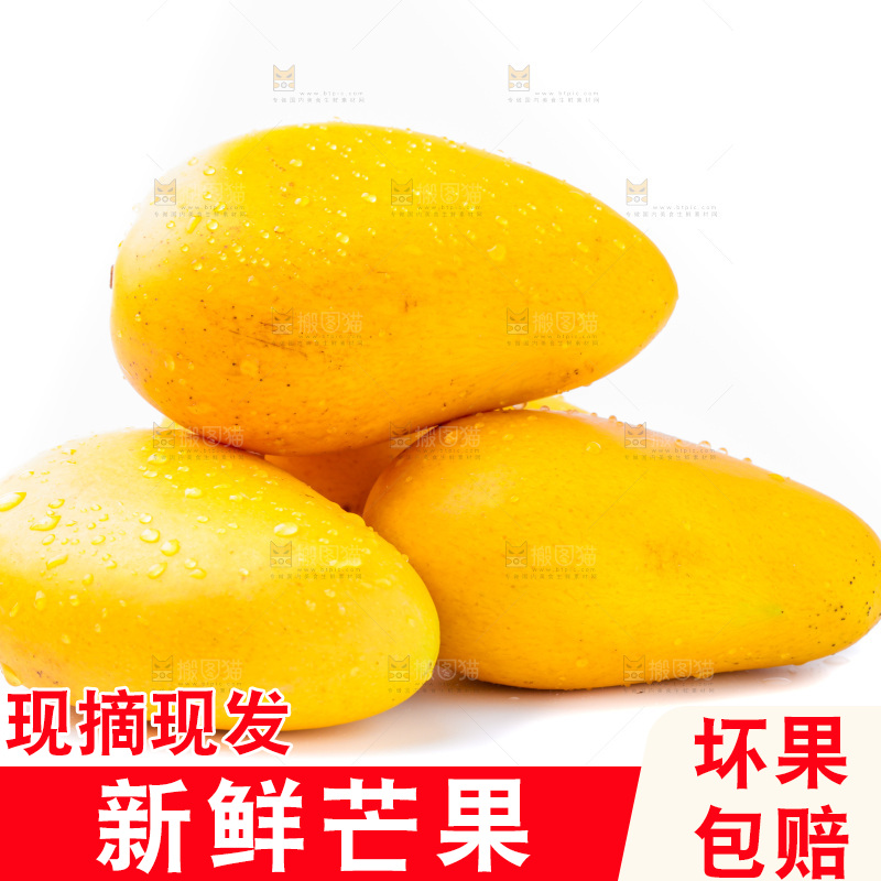 浅底上的海南小台农芒
