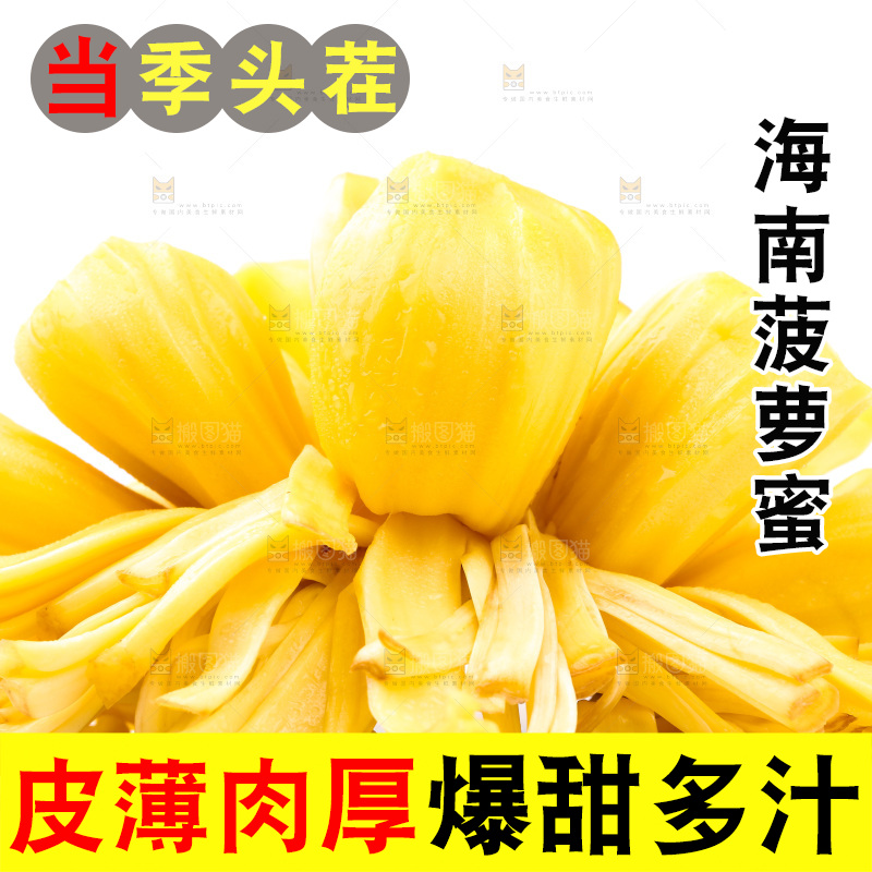 浅底上的海南菠萝蜜