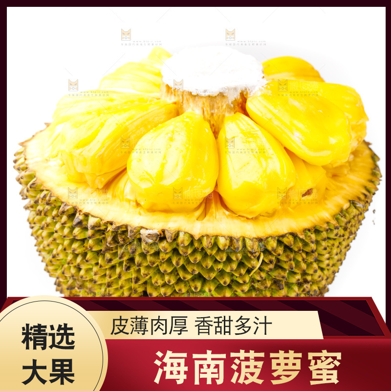 白底上的海南菠萝蜜