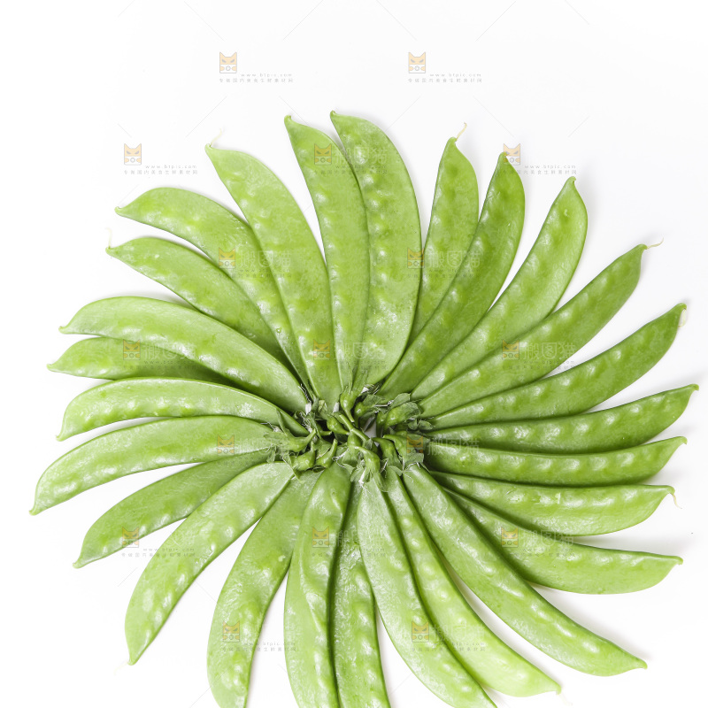 浅底上的荷兰豆