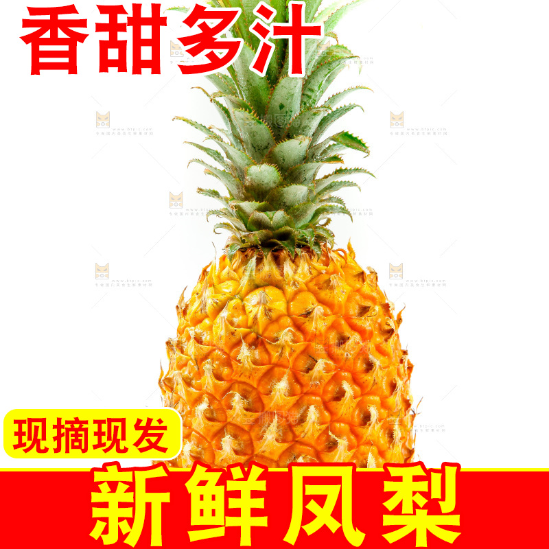 白底上放着金钻凤梨