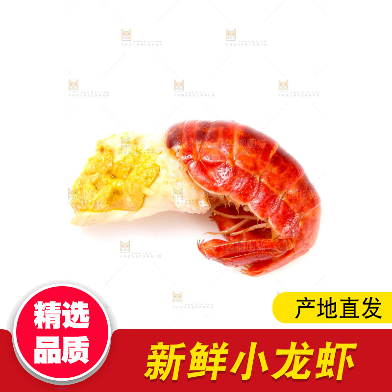白底上的龙虾尾