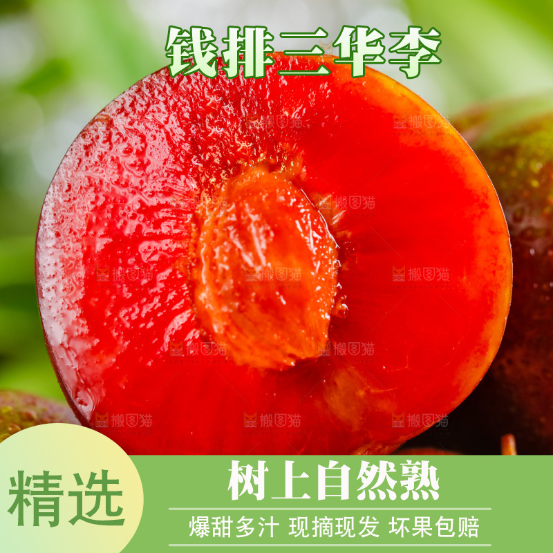 竹垫上摆放三华李