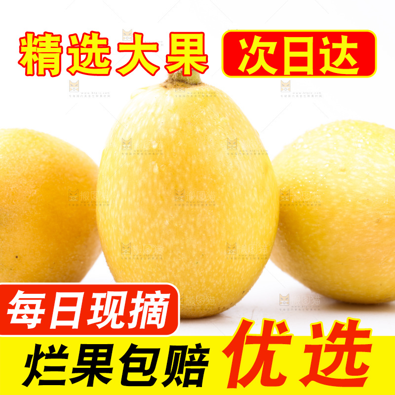 白底上放着新鲜枇杷