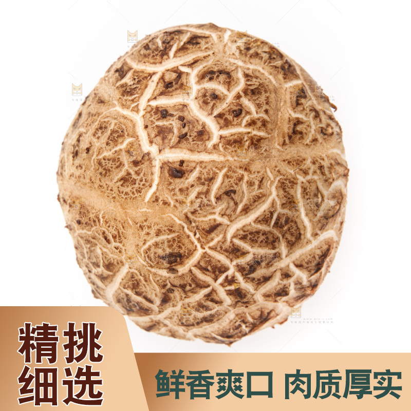 白底上放着花菇