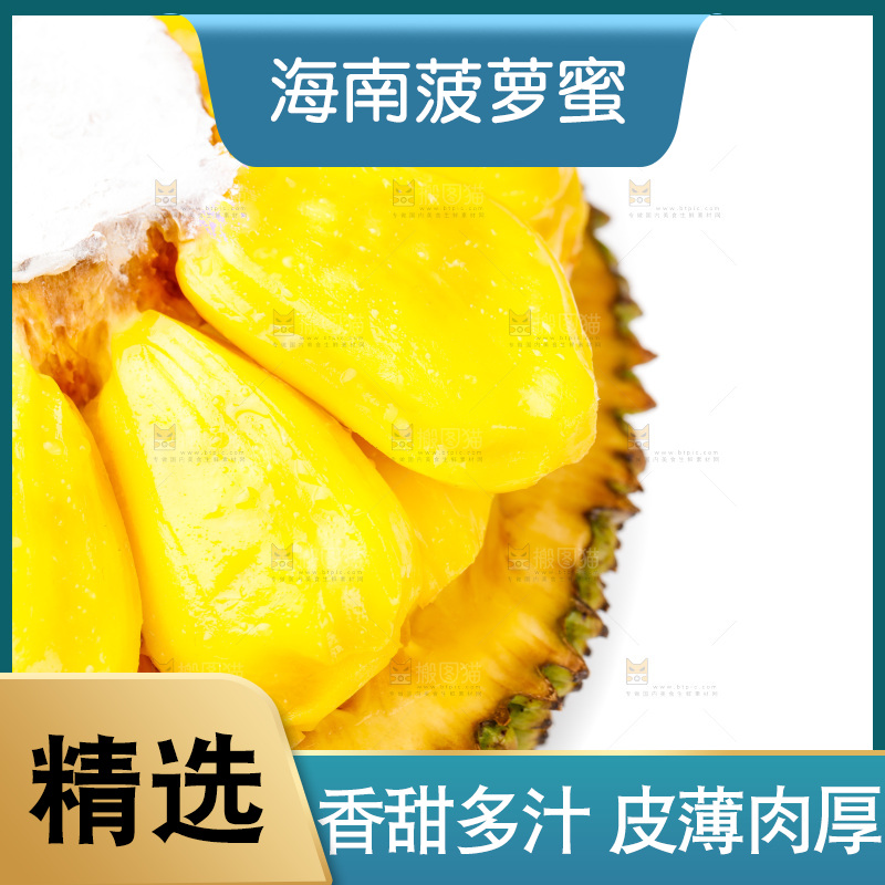 白底上的海南菠萝蜜