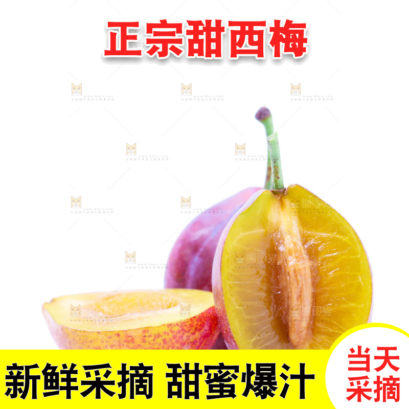 浅底上的新疆西梅