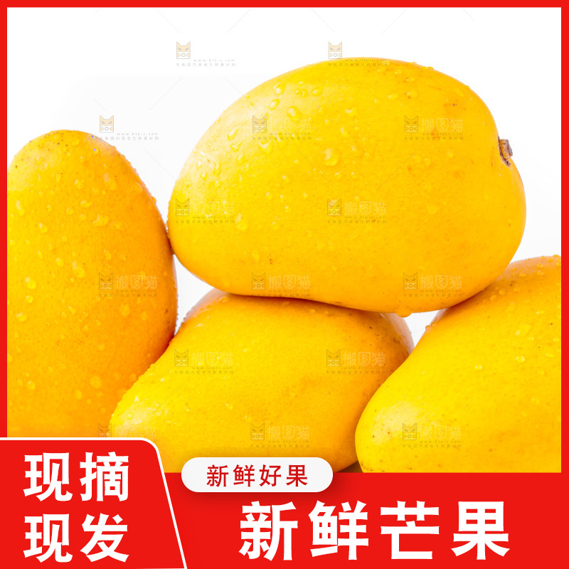 白底上放着小台农芒