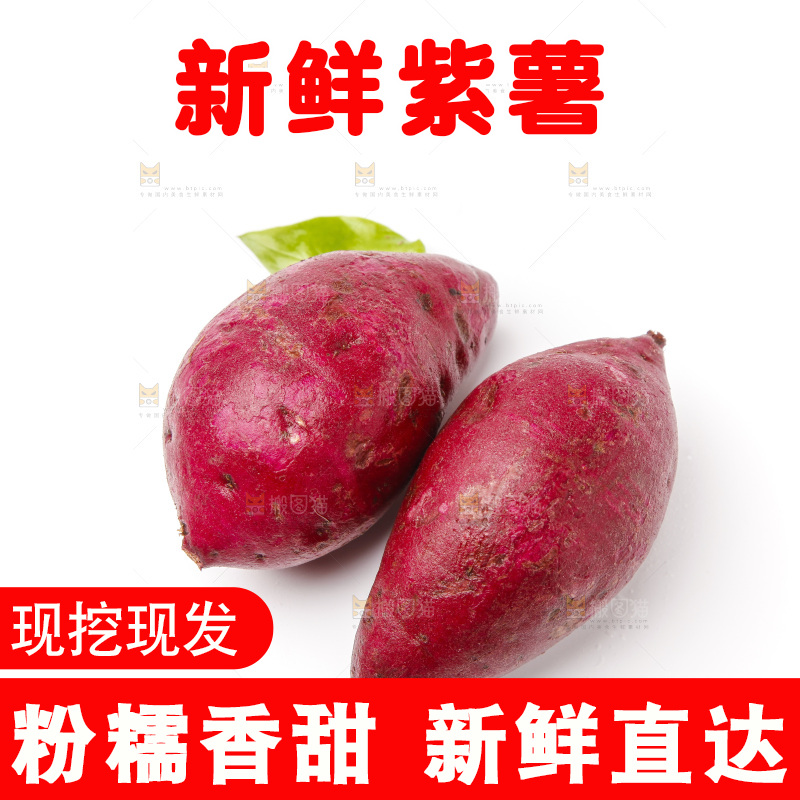 浅底上的小紫薯