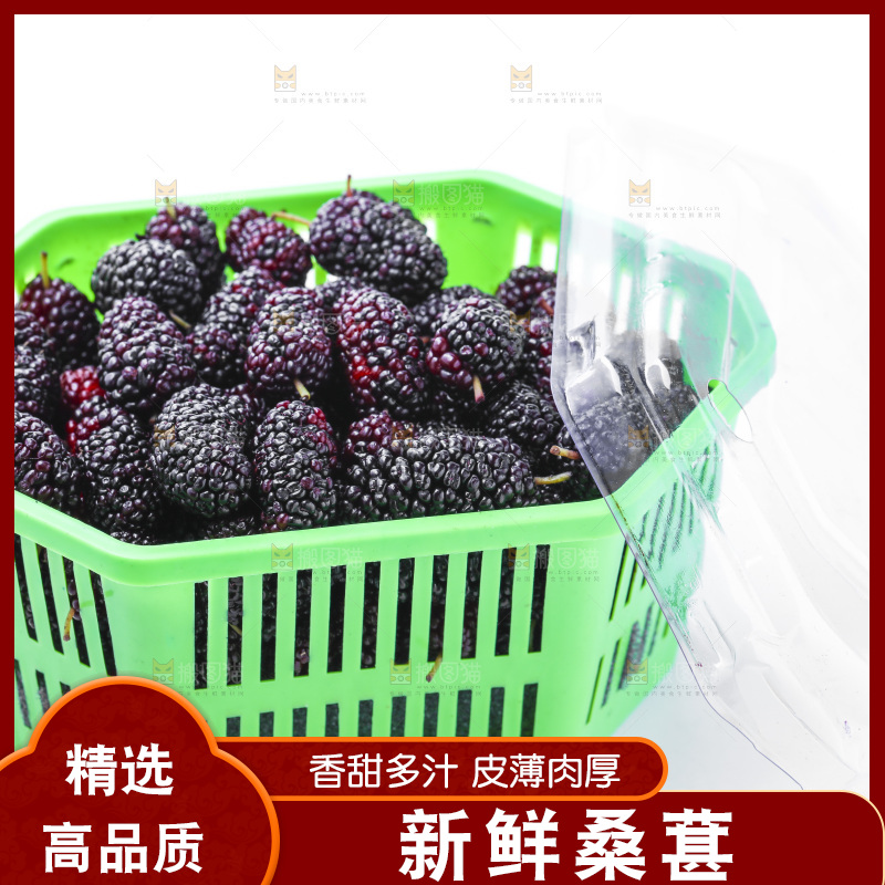 框子里装着新鲜桑葚
