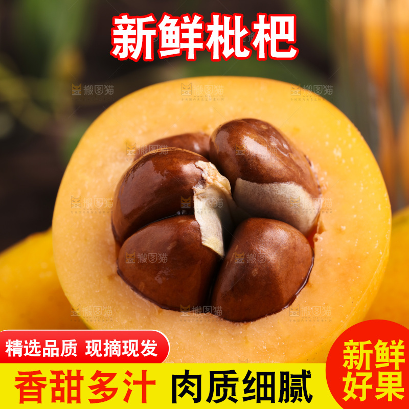 深底上的攀枝花枇杷