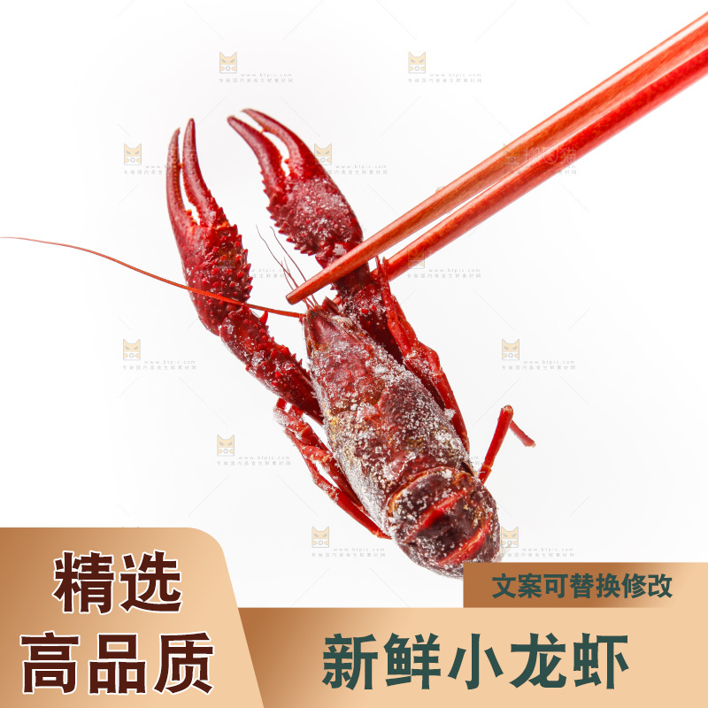 白底上的小龙虾