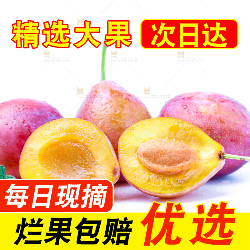 浅底上的新疆西梅