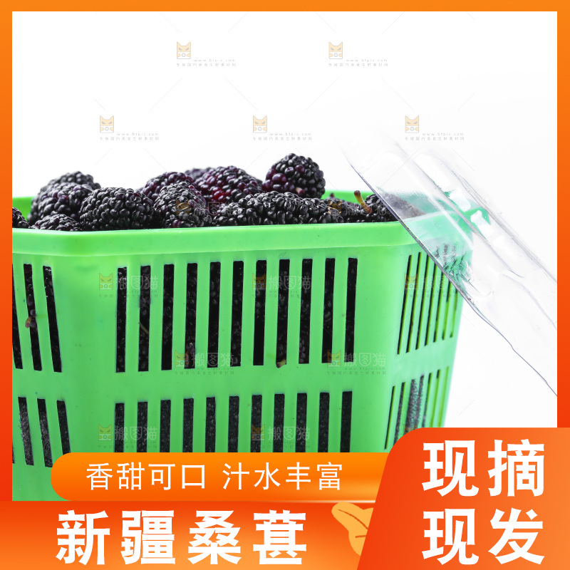 框子里装着新鲜桑葚