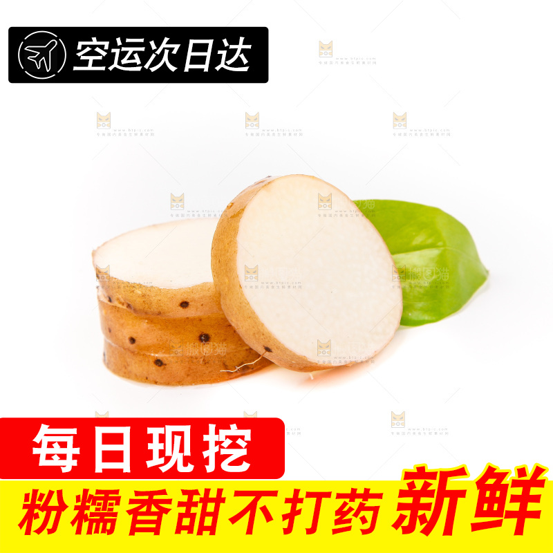 浅底上的新鲜山药