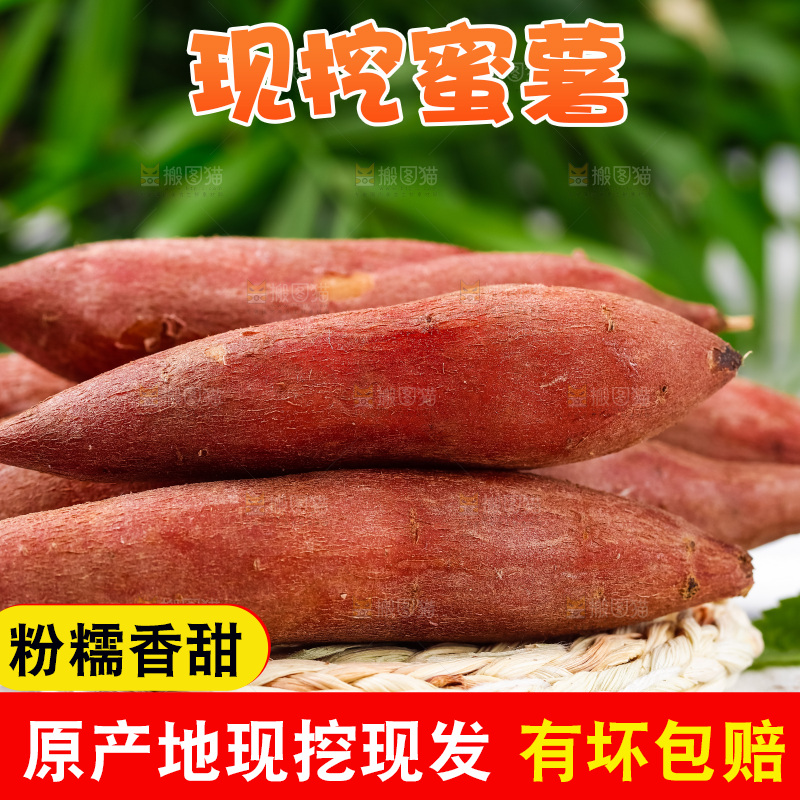 格子底上摆放着红薯