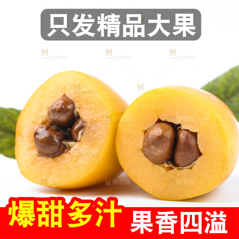 白底上的枇杷