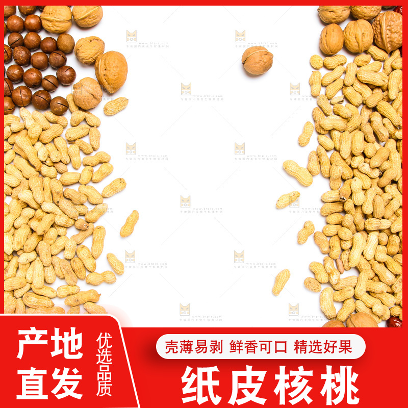 坚果纹理素材