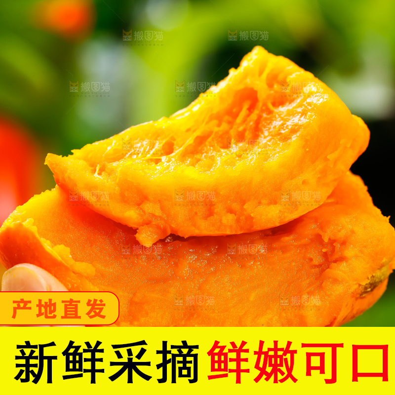 手里拿着南瓜