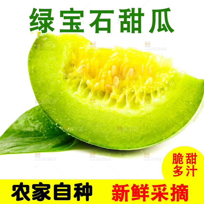 浅底上的山东绿宝石甜瓜