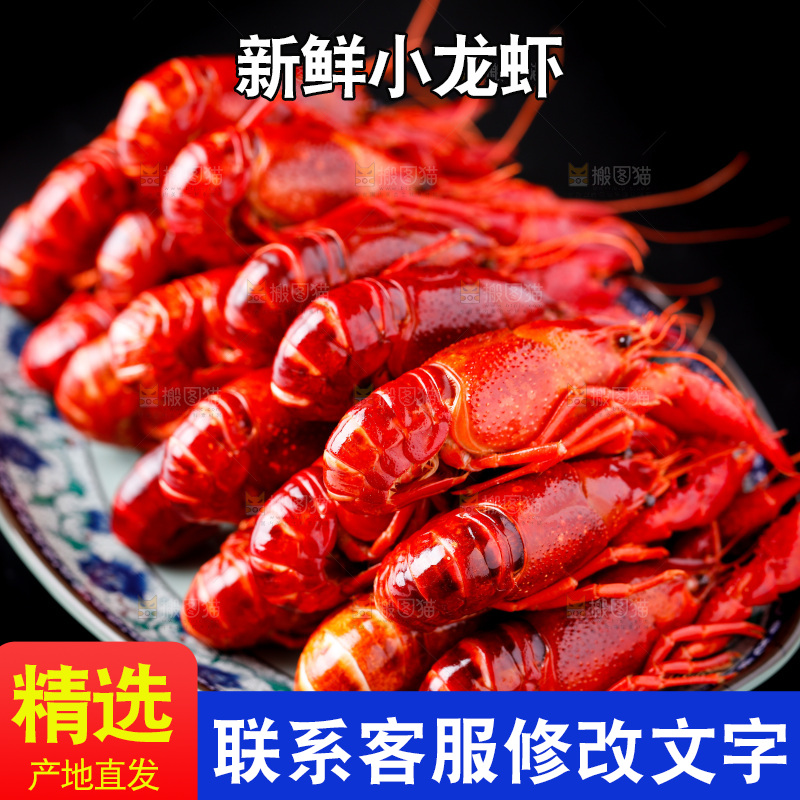 黑底上的清蒸小龙虾