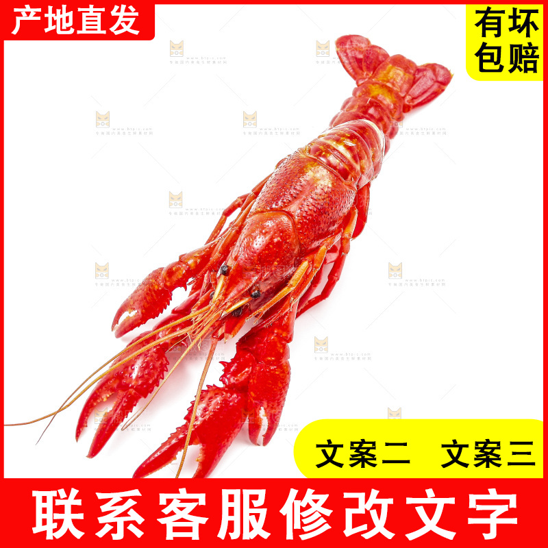 白底上放着清蒸小龙虾