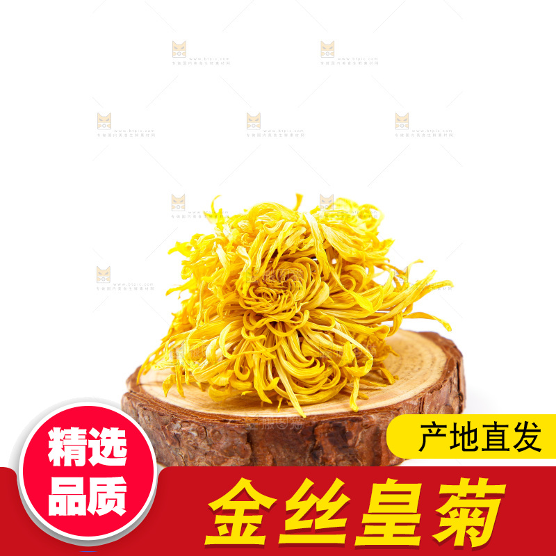 白底上的菊花