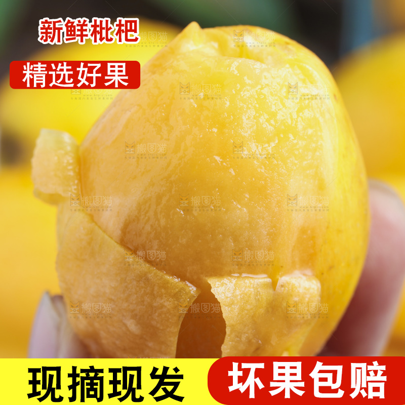 深底上的攀枝花枇杷