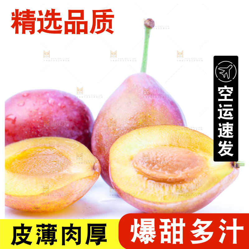 浅底上的新疆西梅
