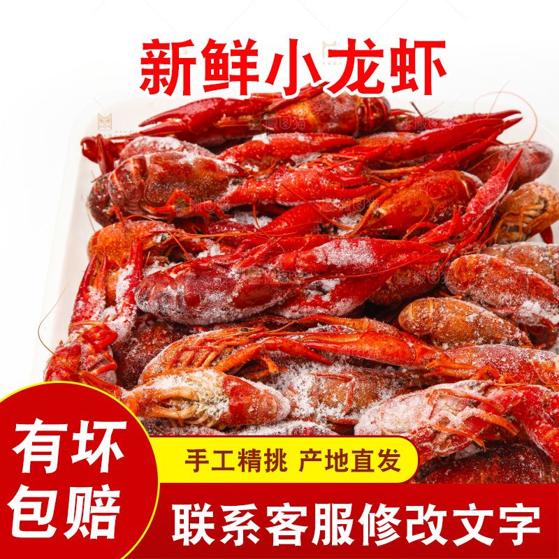 白底上的小龙虾