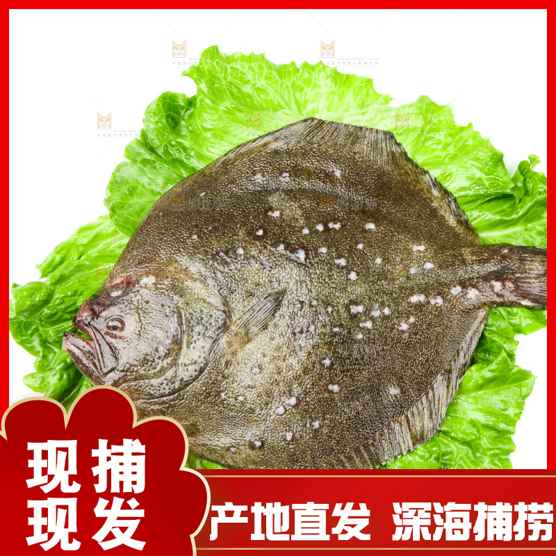 盘子里装着多宝鱼