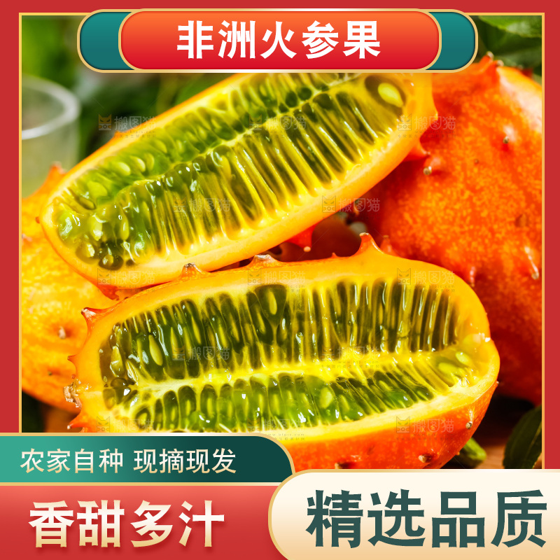 木底上摆放着海参果