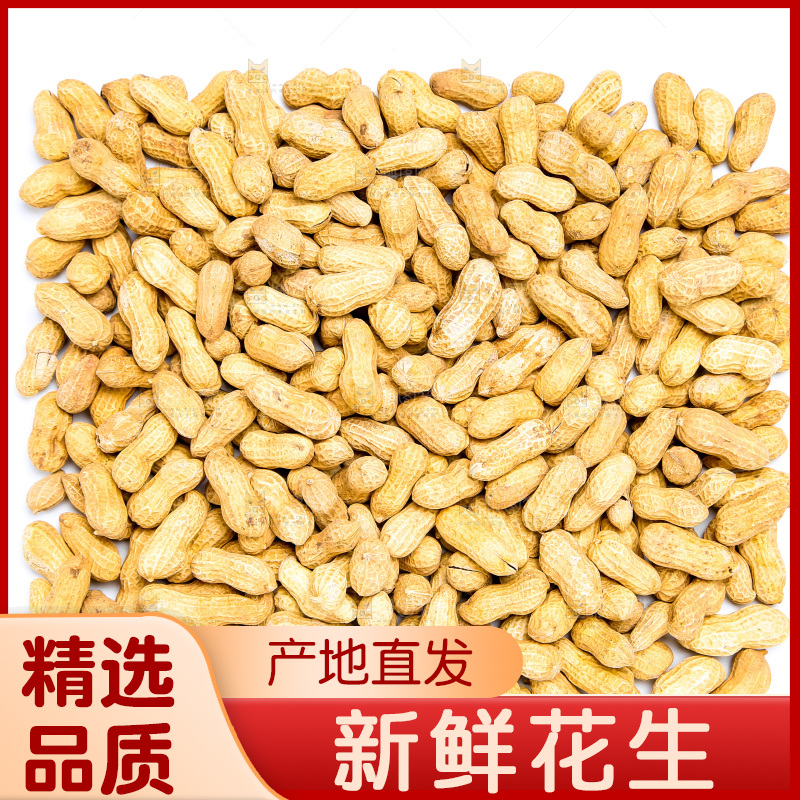 坚果纹理素材