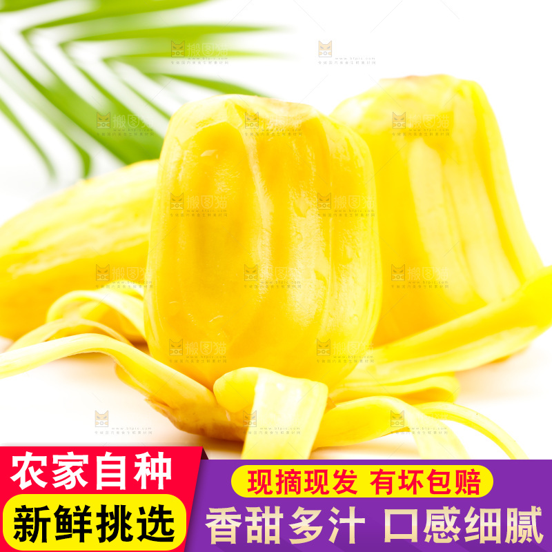 浅底上的黄肉菠萝蜜