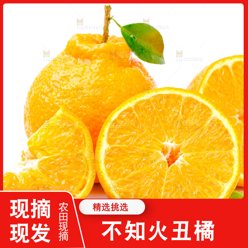 白底上的丑柑
