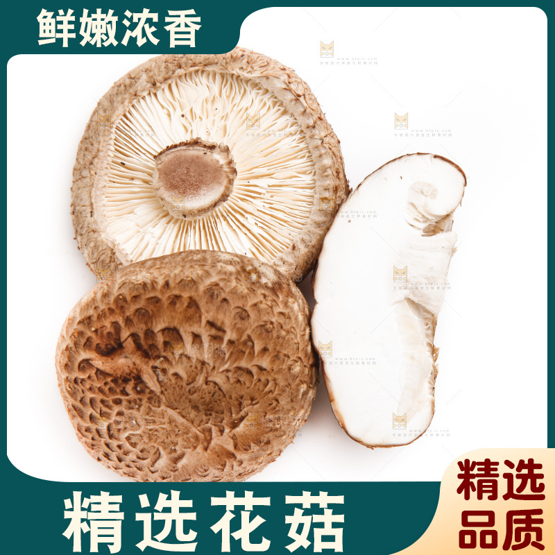 白底上放着花菇
