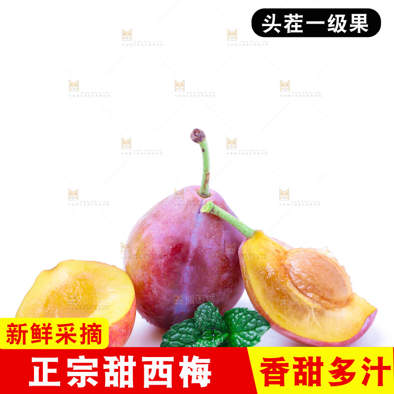浅底上的新疆西梅