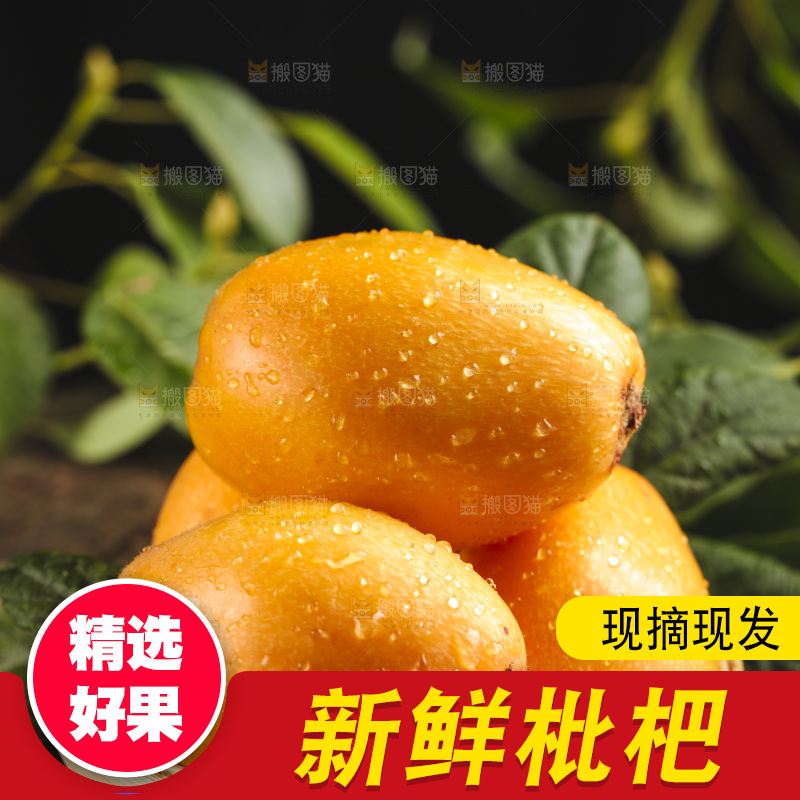 篮子里装着新鲜枇杷