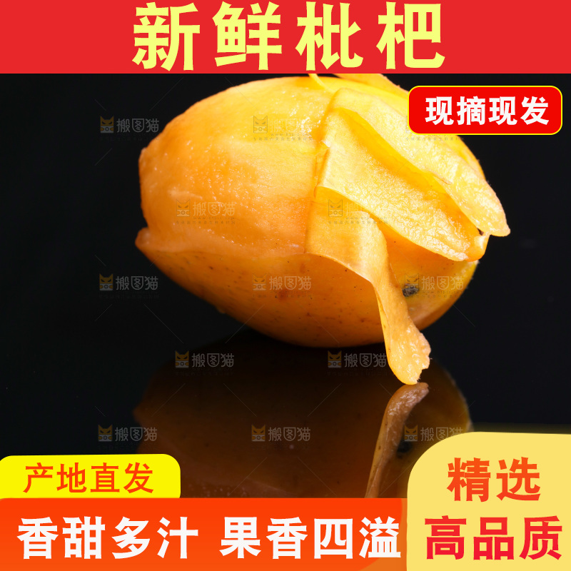 黑底上的米易枇杷