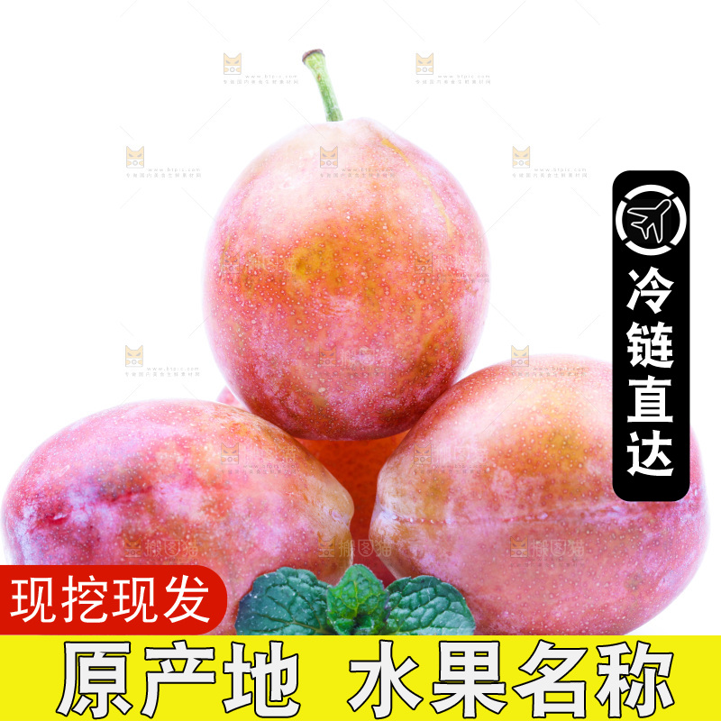 白底上放着西梅