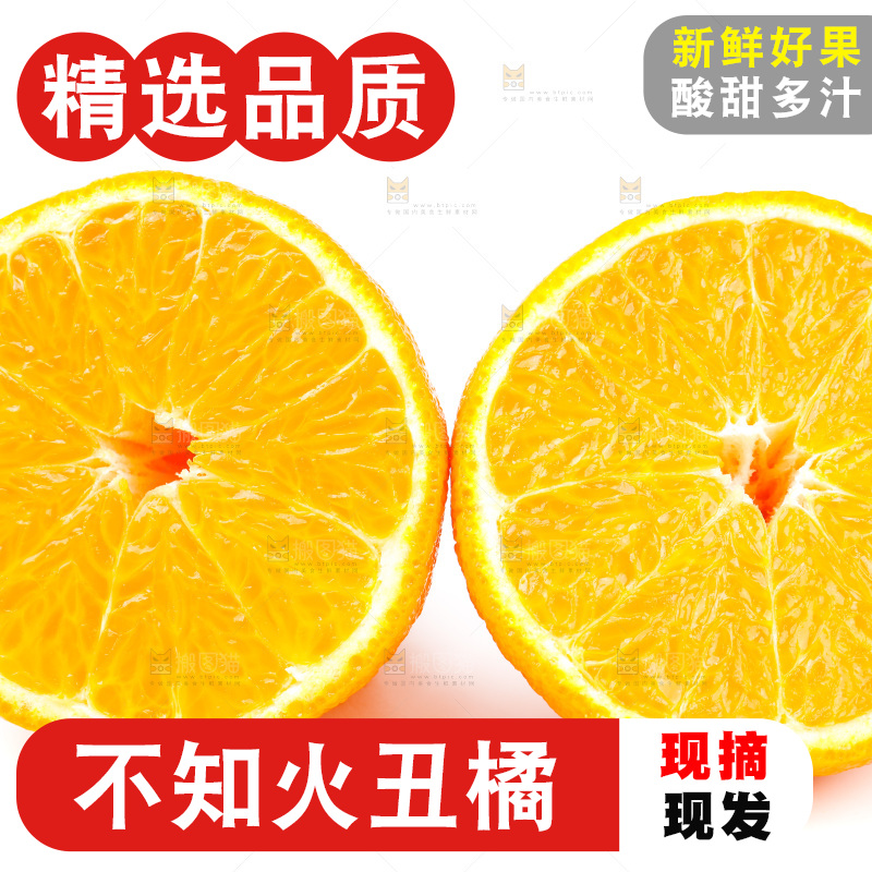 白底上的丑柑