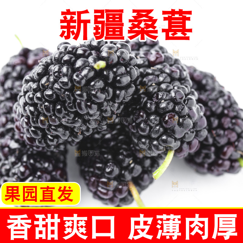 白底上的桑枣