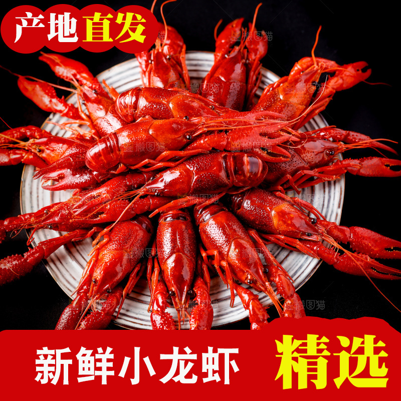 黑底上的清蒸小龙虾
